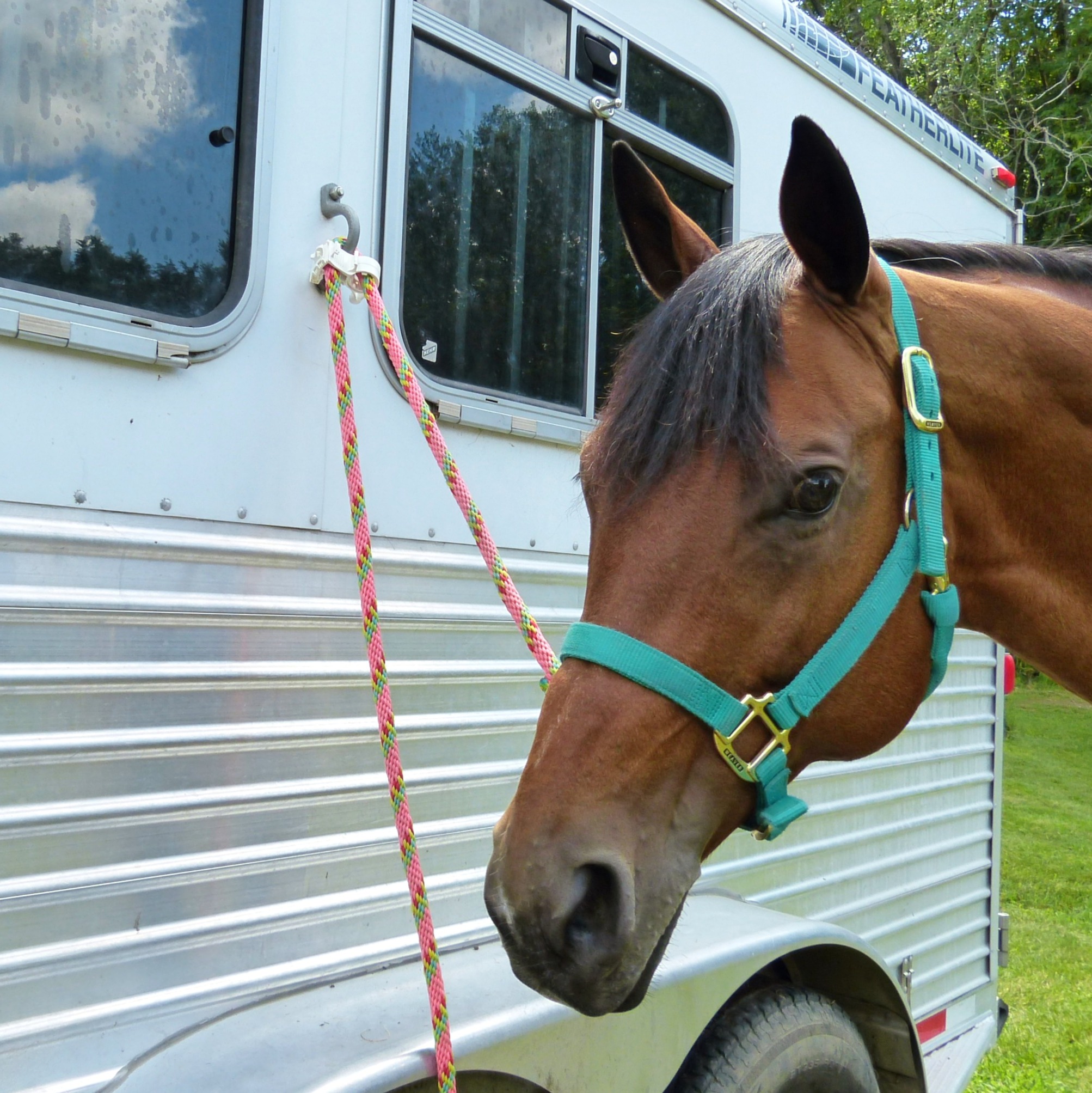 Tie Ease by Rope Lock horse safety tie clamp shown in use on a lead rope