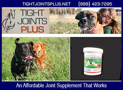 Tight Joints Plus For Dogs