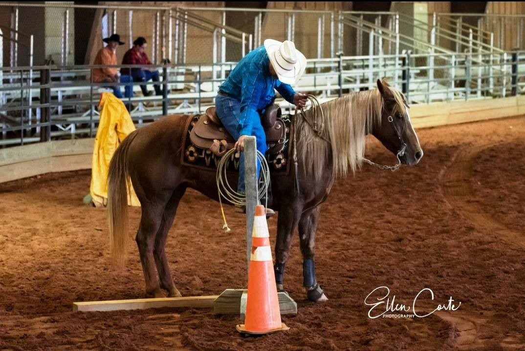 Tim Anderson coaching and training a horse and rider