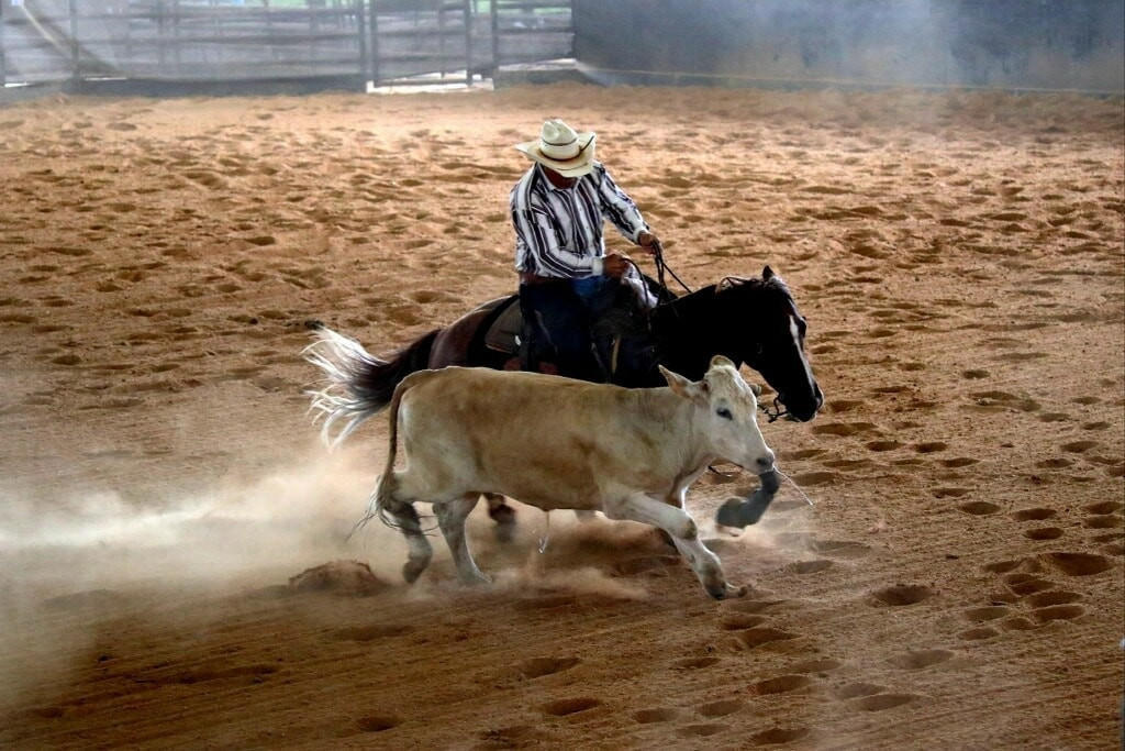 Tim Anderson riding a reining horse in the arena