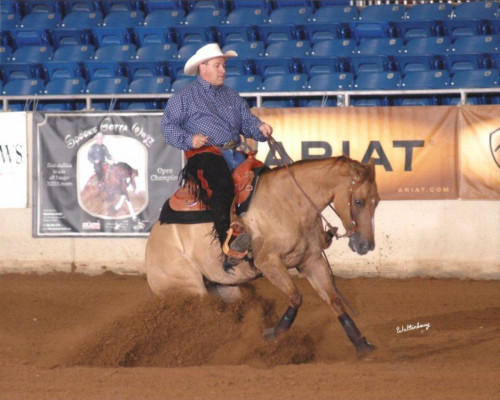 Tim Anderson riding a buckskin Quarter Horse through a deep sliding stop during a reining run