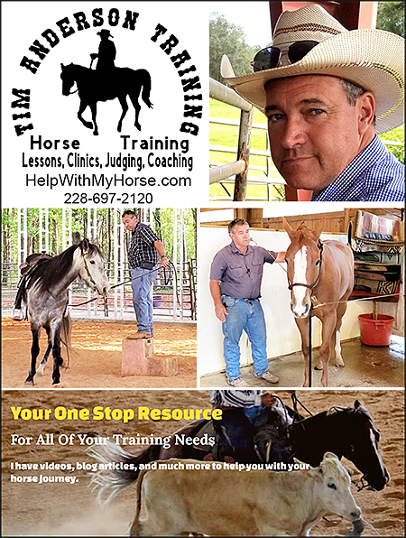 Tim Anderson Horse Training