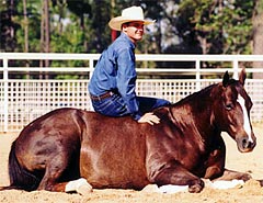 Downunder Horsemanship — Trainers (Ian Francis is a nationally acclaimed Australian horse trainer, two-time…)