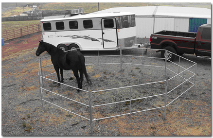 Travel N Corrals 18x18 single round portable horse corral, the largest single size offered, set up outdoors
