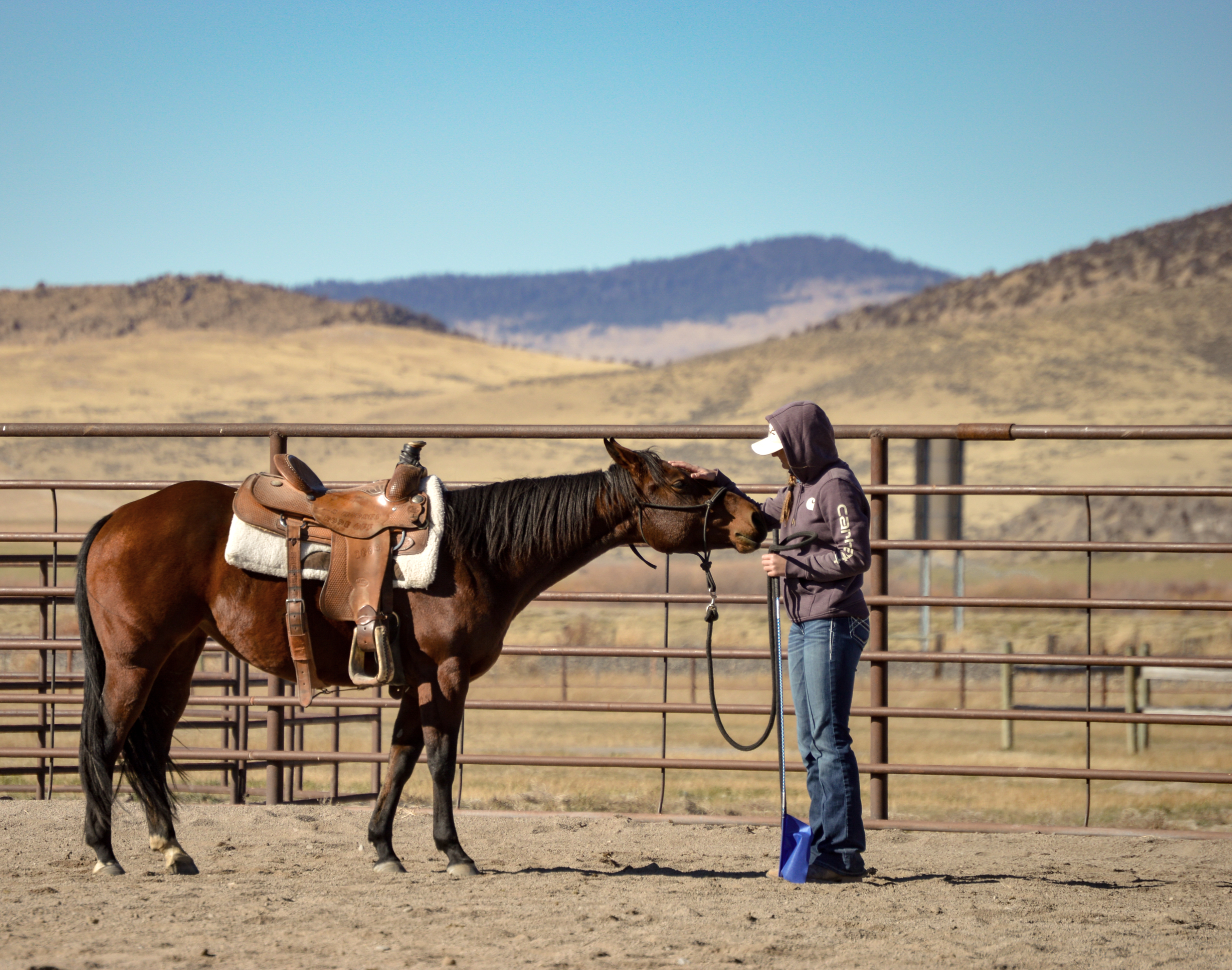 Horse and human connection at the Montana Center for Horsemanship in Dillon Montana