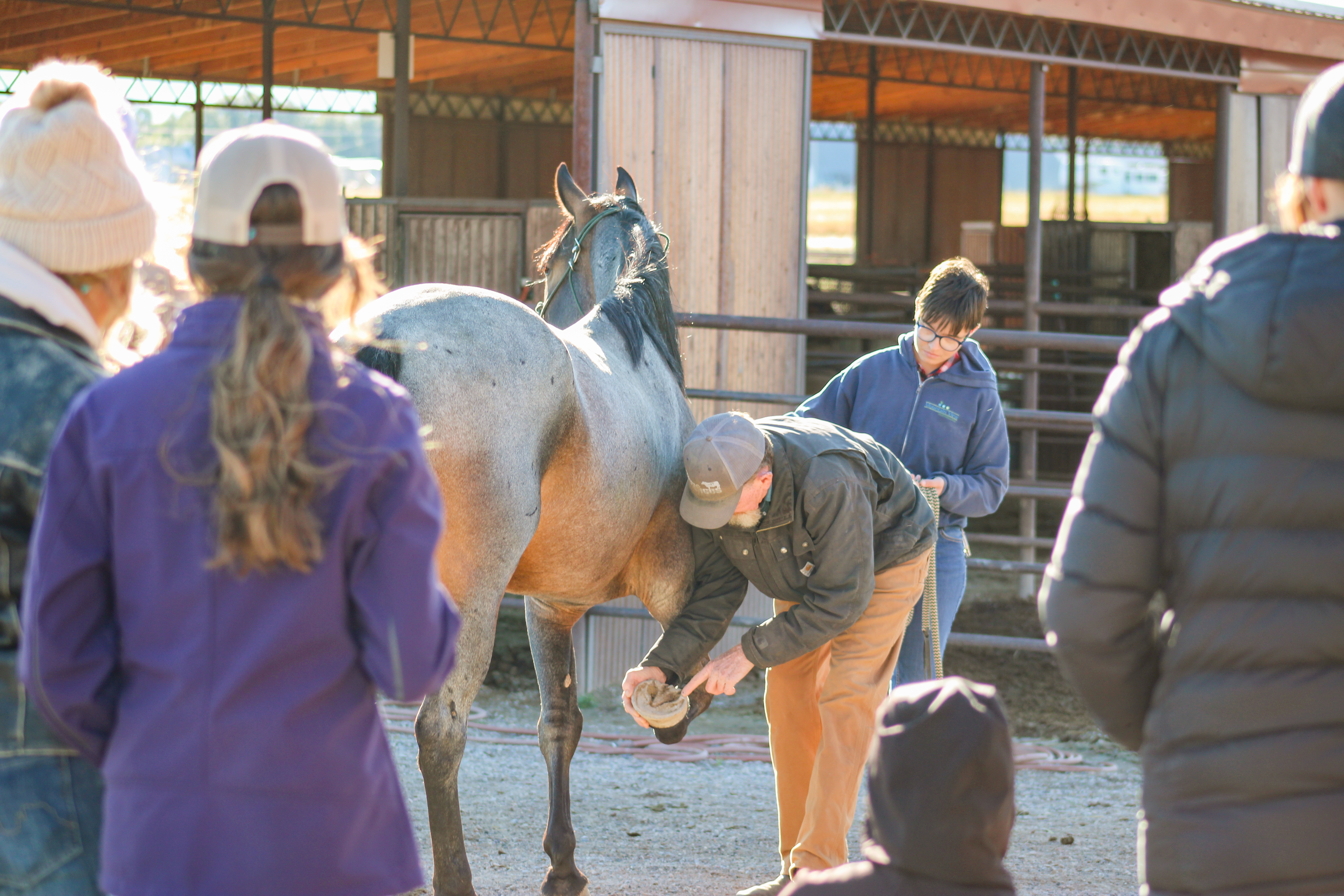 University of Montana Western Natural Horsemanship student working with a horse in the arena