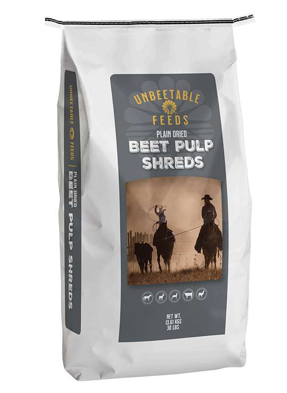 UNBEETABLE Feeds plain beet pulp shreds 30 lb bag