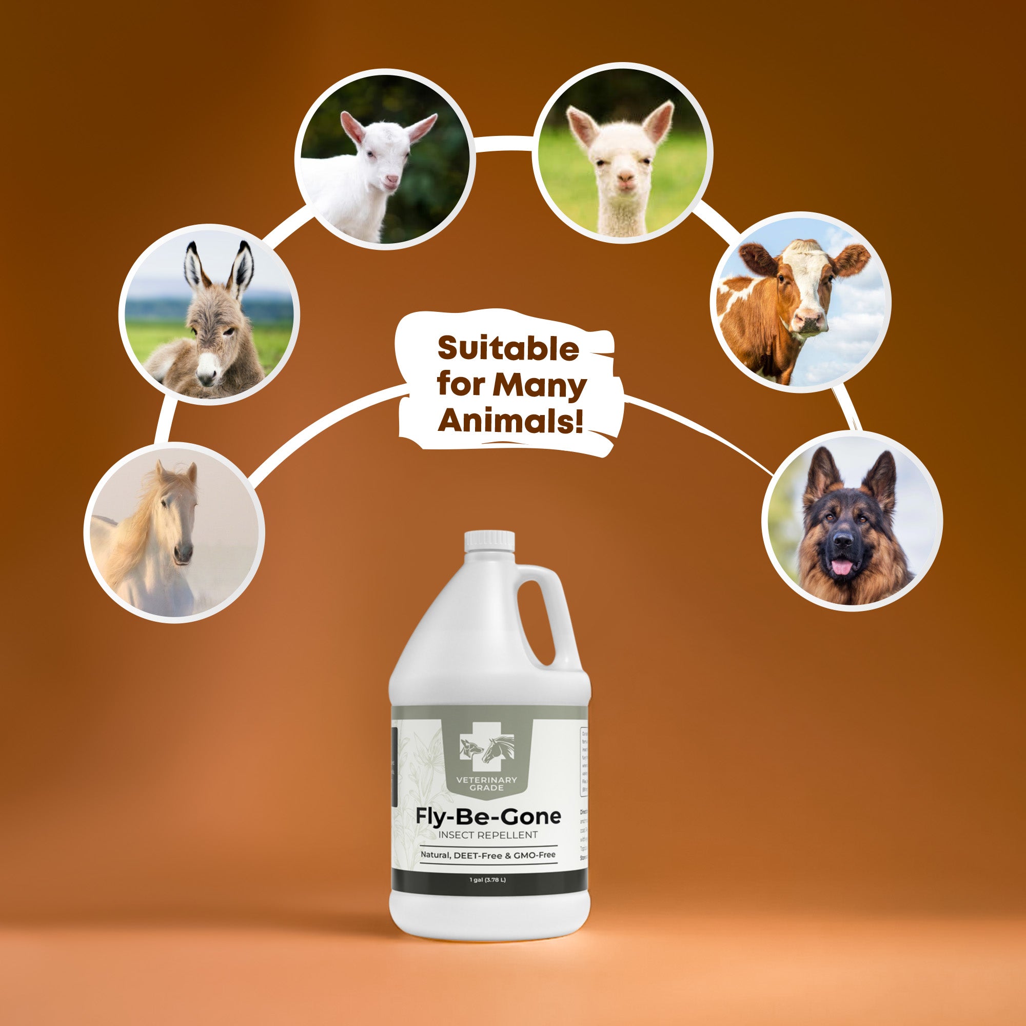 Fly-Be-Gone natural fly repellent gallon protecting horses from biting insects