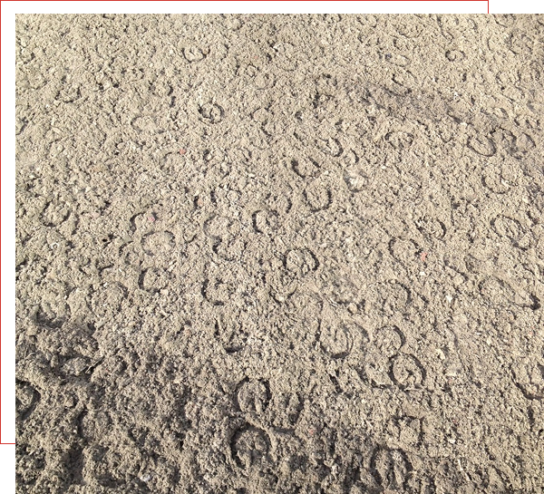 West Coast Footings arena footing and surface preparation work