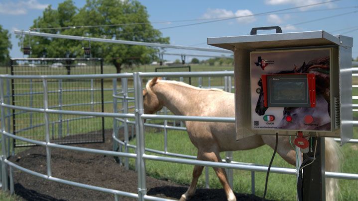 Westland automatic panel horse walker with curved galvanized steel panels on a sand track