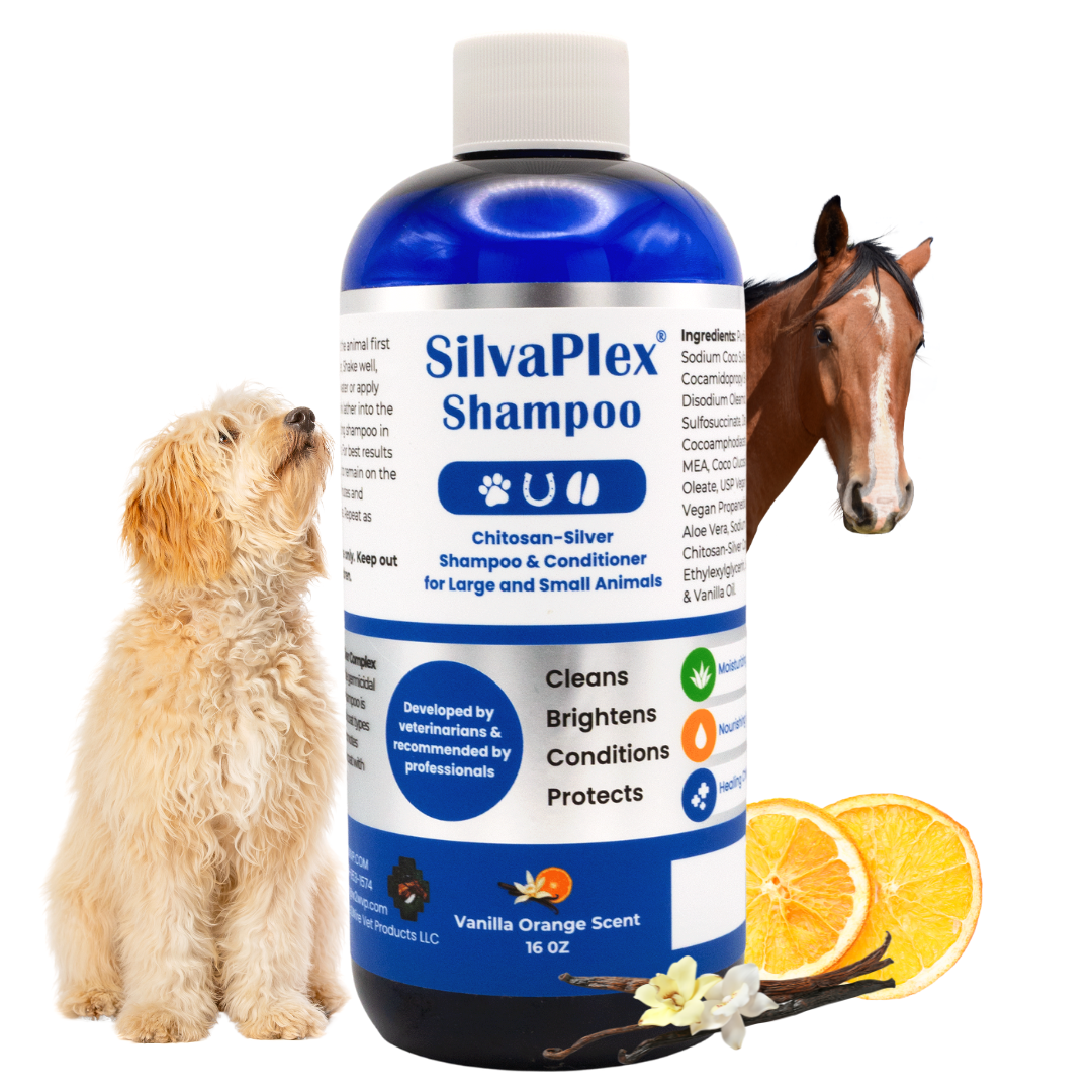 SilvaPlex Ag21 Chelated Silver Pet Shampoo bottle, a pH-balanced silver shampoo formulated for horses and dogs