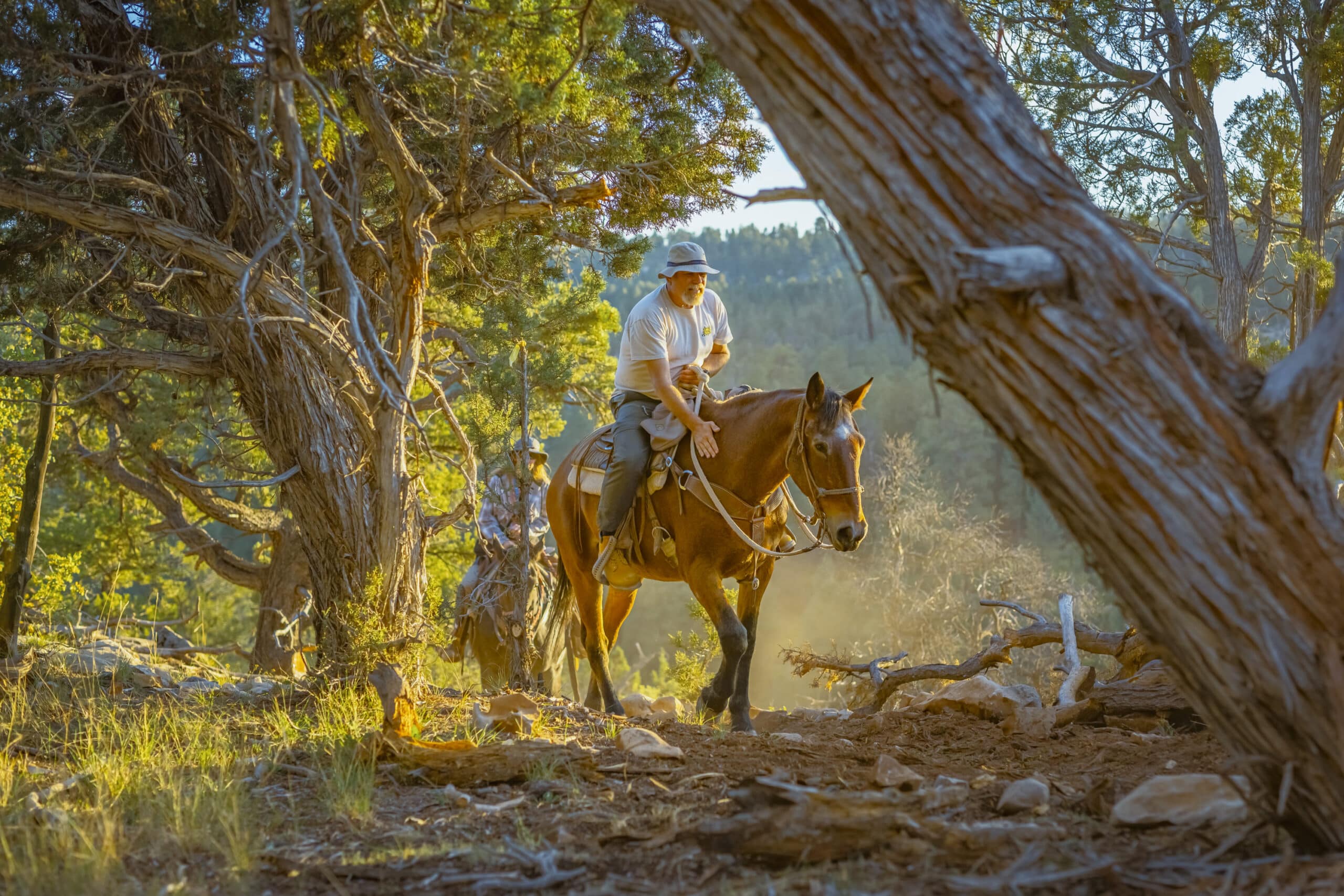 Checkerboard Mesa sunset horseback ride at Zion Ponderosa Ranch Resort in Orderville, Utah