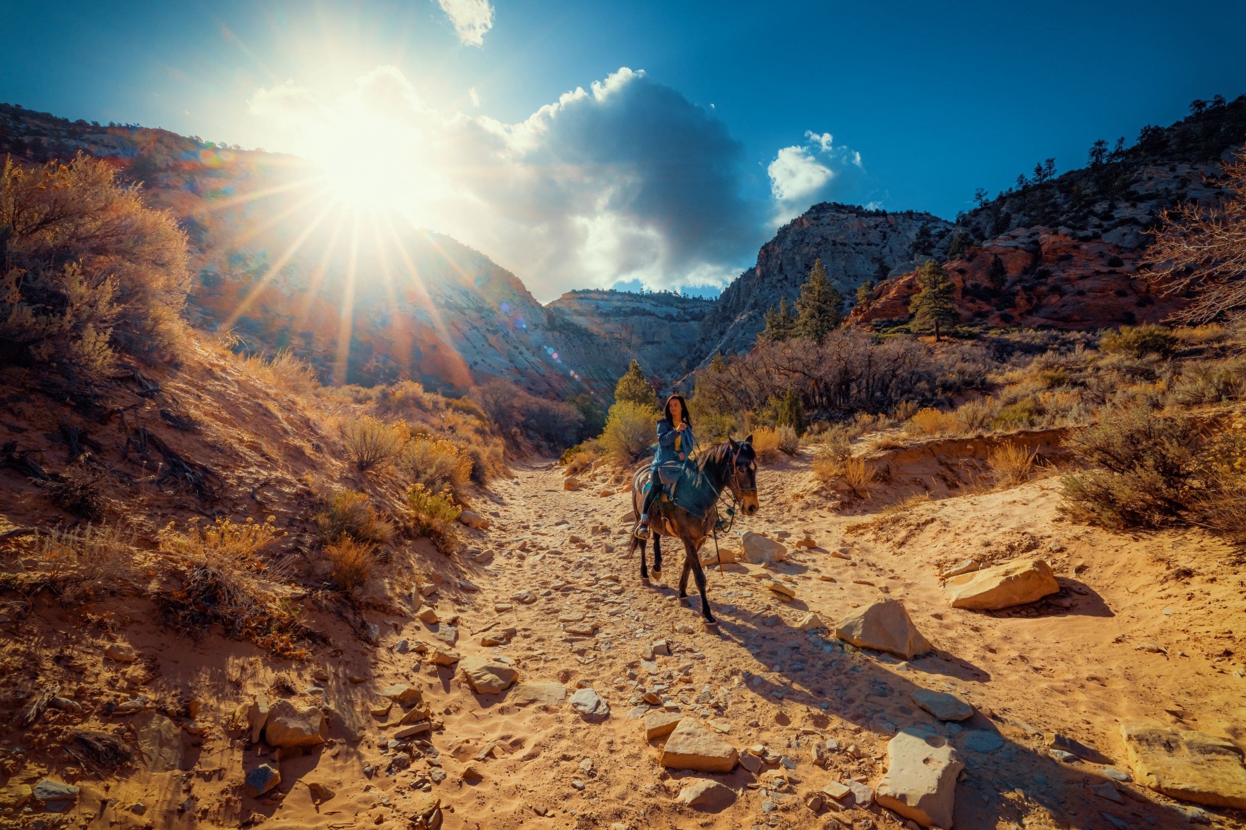 Riders on the White Sands Sunset and S'mores horseback tour at Zion Ponderosa Ranch Resort