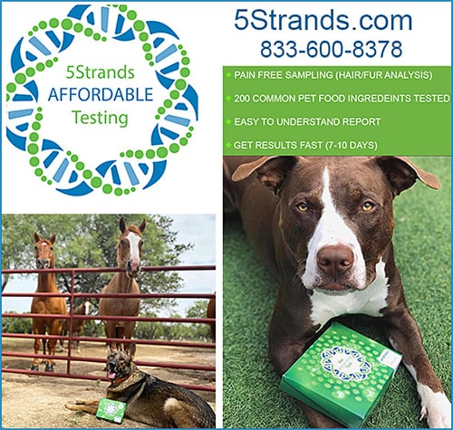5 Strands Affordable Testing — Dogs And Puppies (How Did 5Strands)