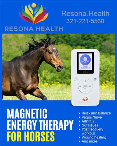 Affordable PEMF with Resona Health — Health (We know what our RESONA HEALTH VIBE can do, we have received testimonials…)