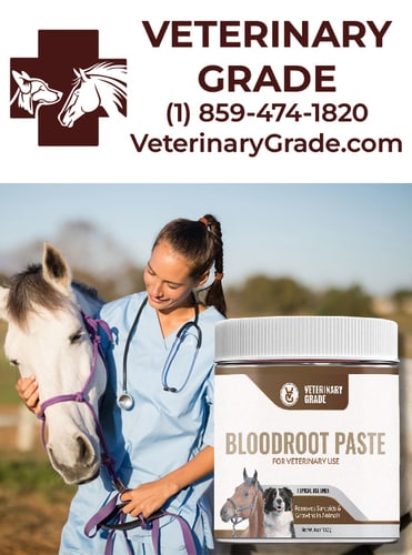 Bloodroot Paste by Veterinary Grade, LLC — Articles (The makers of Veterinary Grade Blood Root Paste for Sarcoids and FlyBGone All…)
