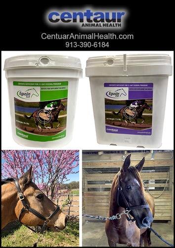 EGUSIN SLH® — Barrel Racing (Since it was founded in 1986, Centaur Animal Health business focus has been…)