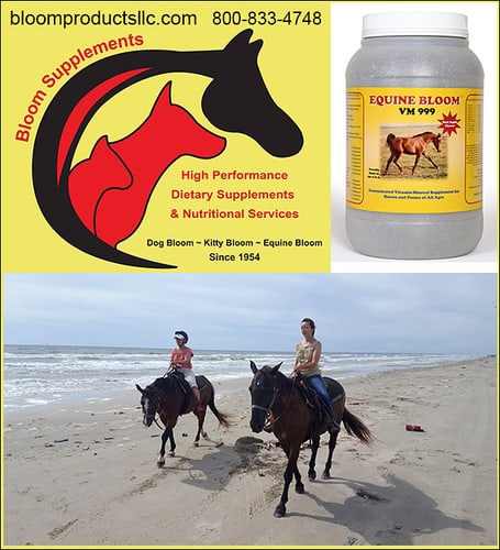 Equine Bloom — Barrel Racing (offers some of the most COMPREHENSIVE, COMPLETE, Human Grade vitamins for your…)