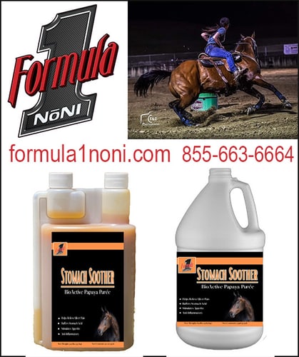 Equine- Formula 1 Papaya Stomach Soother — Barrel Racing (ACTING Their Best- Is A Great Way To Know If They're FEELING Their Best)