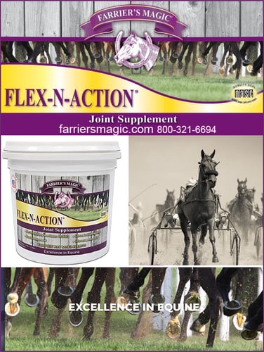 Flex-N-Action™ — Barrel Racing (Flex-N-Action ™ by Farrier's Magic is fortified with MSM, hyaluronic acid,…)