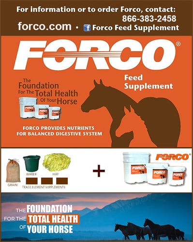 FORCO® Feed Supplement Digestive Fortifier — Barrel Racing (FORCO LLC is located on the eastern plains of Colorado near the town of Flagler…)