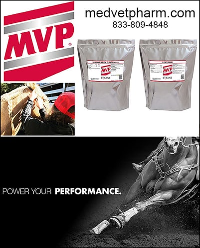 Levelor™ and  Magnesium 5000™ — Barrel Racing (Levelor™ and Magnesium 5000™ by Med-Vet Pharmaceuticals offer support a calmer…)