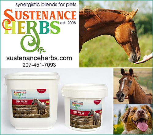 Open-Air EQ™ — Barrel Racing (Joyce Belcher is a Certified Herbalist specializing in work with animals)