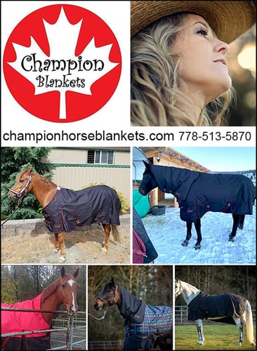 Champion Horse Blankets — Tack (is owned by an active rider and breeder, with a pure dedication to offering)