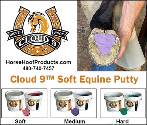 Cloud 9™ Soft Equine Putty — Health (is a cutting-edge for supporting or discouraging common hoof problems)