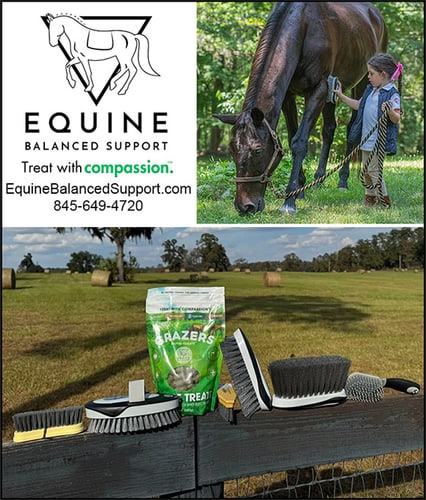 Daily Bonding Brushes — Health (by Equine Balanced Support Daily Bonding Brushes)