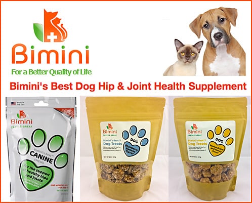 Bimini — Dogs And Puppies (LLC’s mission is To provide pet parents with high quality products designed to…)