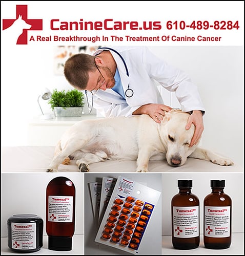 Dr. Nyce(Dr. Nice) — Dogs And Puppies (Tumexal™ can help add months- even years-- to a dog's life who is suffering…)