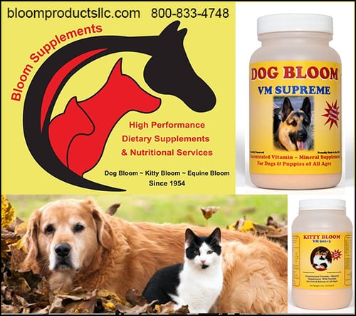 Dog Bloom — Dogs And Puppies (Supplements by Bloom Products LLC is simply the best kept secret of breeders and)