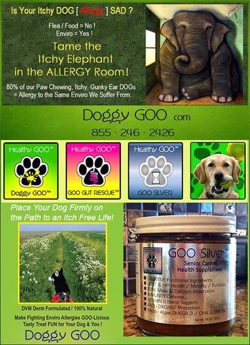 Every Dog Can Greatly Benefit From The “GOO”! — Dogs And Puppies (Are You Looking for a Solution To The Misery Of Seeing Your Beloved Dog Grow…)