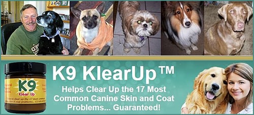 K9 KlearUp™ — Dogs And Puppies (is the natural effective solution for your dogs skin and coat problems)