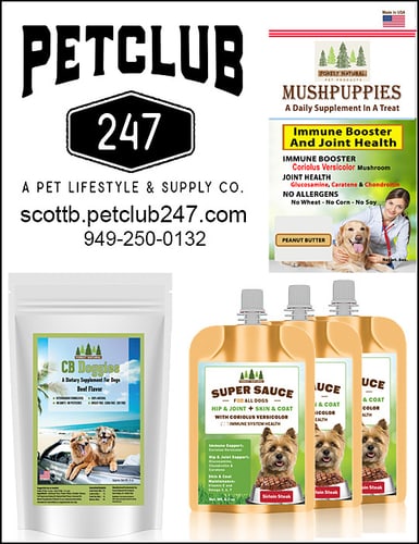 MushPuppies — Dogs And Puppies (Scott Bruce is an animal lover with a passion to help animals live a more…)