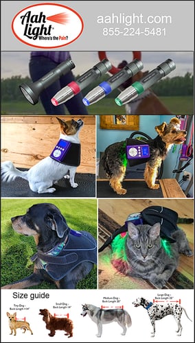 Visium Light Flex For Dogs — Dogs And Puppies (Don’t settle for just red and NIR, when you can have those PLUS blue and green…)