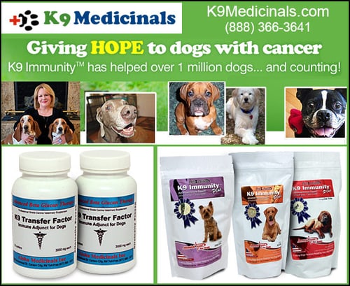K9 Medicinals — Dogs And Puppies (Antibodies are like little soldiers that scour the body seeking and destroying…)