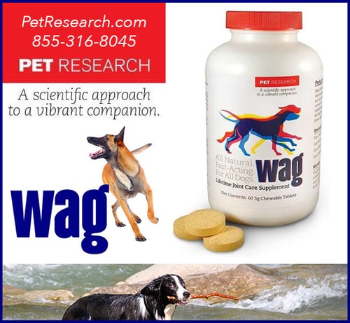 Your Dog May Be In Pain and You Wouldn't Even Know It! — Dogs And Puppies (Wag Lifetime Joint Care is a natural joint supplement that has shown to work on…)