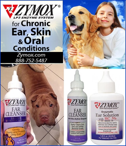 ZYMOX® — Dogs And Puppies (Ear Solution is easy to use and has been shown to work when antibiotics have…)