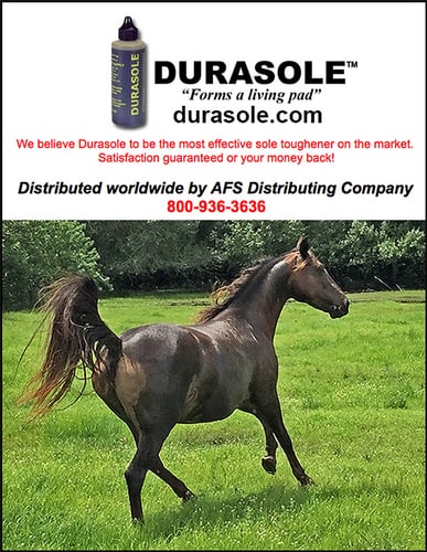 Durasole by Alvin Farrier Supply — Health (Is your horse tender footed on trail rides, after a rain storm or after a trim)