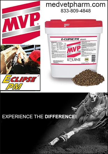 Eclipse' PM™ By Med-Vet Pharmaceuticals (MVP) — Health (Eclipse' PM™ provides high level nutritional support recommended to be used in…)