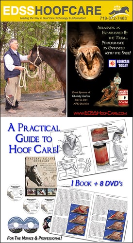 EDSS (Equine Digit Support System) — Health (Equine Digit Support System and)