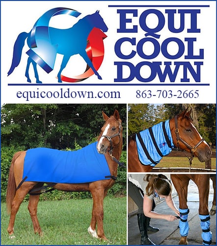Equi Cool Down™ — Health (With Equi Cool Down™ it has never been easier to cool down your horse)