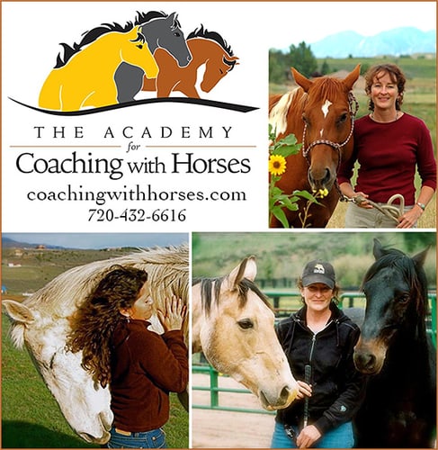 Academy for Coaching With Horses — Equine Schools (The Academy For Coaching With Horses is dedicated to raising human…)
