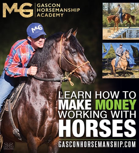 Gascon Horsemanship — Equine Schools (Michael Gascon, The #1 Gaited Horse Trainer and Horsemanship Clinician in the…)