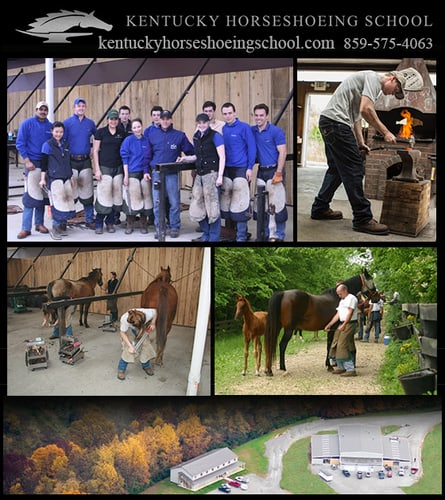 Kentucky Horseshoeing School — Equine Schools (is proud to be Nationally Accredited by the ACCSC, and is a provider)