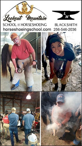 Lookout Mountain School of Horseshoeing — Equine Schools (The Lookout Mountain School of Horseshoeing has been giving new Farriers a…)