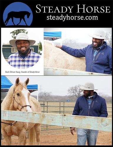 Steady Horse with Noah Tillman- Young — Equine Schools (offers affordable training both in person, or at home through)