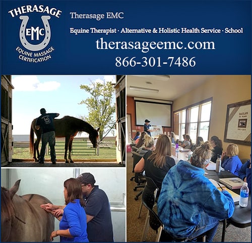 Therasage EMC — Equine Schools (Our students are making $50 - $60 per hour with their clients-- who are…)